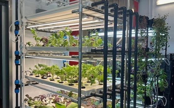 555x345 Can be used for news items/sliders