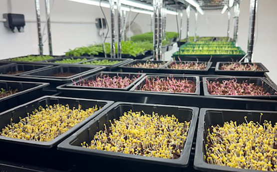 555x345 Can be used for news items/sliders