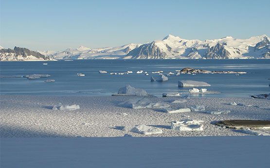 Image of Polar Ice Cap