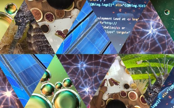 Composition of triangles that showcases a gecko, solar panels, metallic spheres, webs, and spices