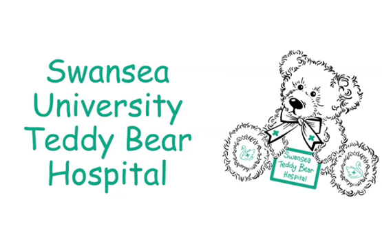teddy Bear with a Hospital Tag as the Logo of the Teddy Bear Hospital and the words Swansea University Teddy Bear Hospital