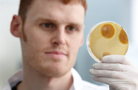 BEACON research inspecting petri-dish