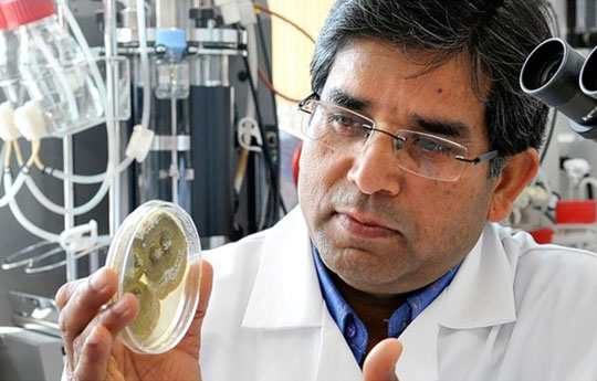 Dr Minshad Ansari examining a specimen in the laboratory