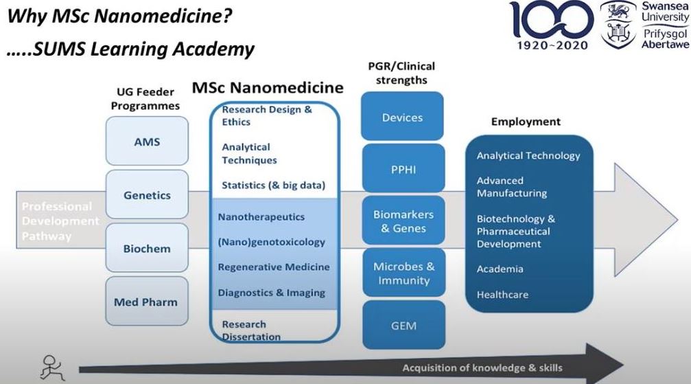 Youtube still why study Nanomedicine