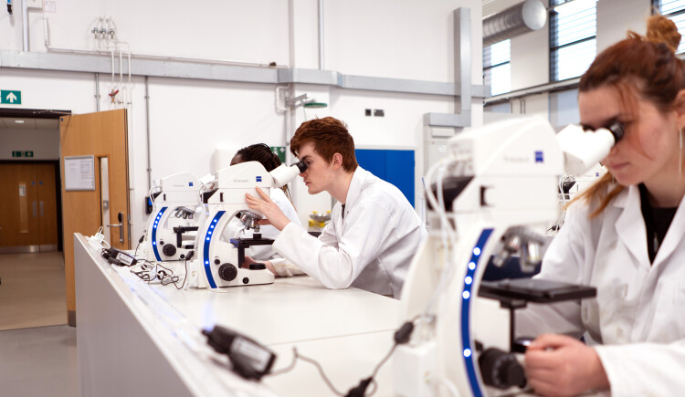 An image of students working in a laboratory. 
