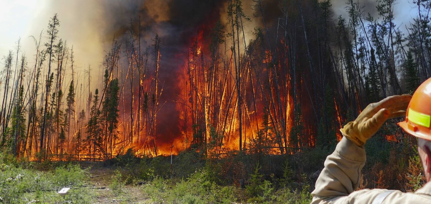 New study shows charred vegetation remains help to lessen overall carbon emission from wildfires
