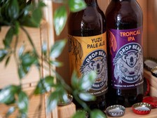 Two varieties of Drop Bear Beer Co craft beer