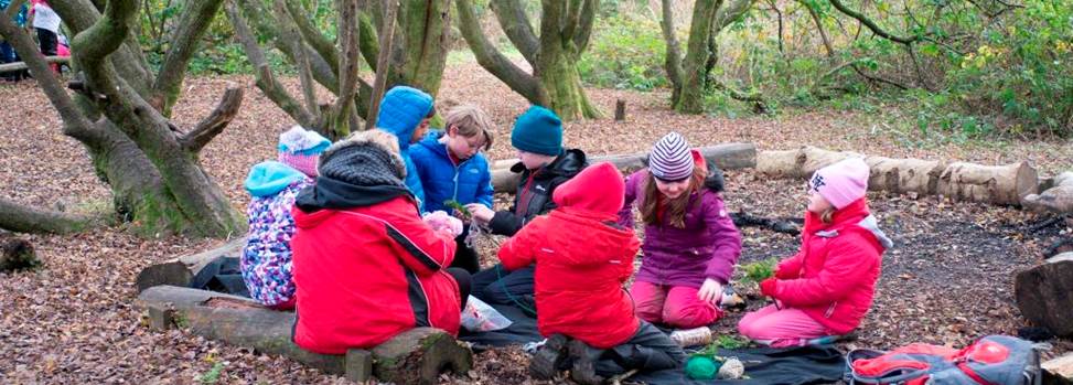 Children from Crwys Primary having a lesson in woodland, as part of the school's outdoor learning