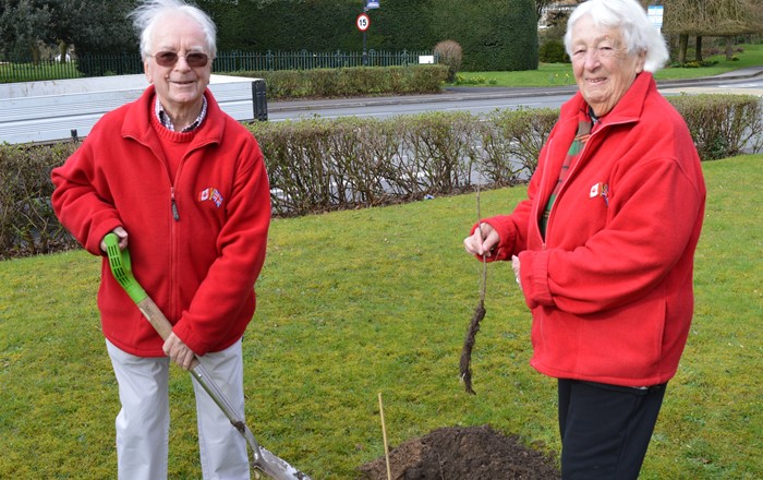 John and Diana Lomax planting the oak sapling at Swansea University’s Singleton Park campus