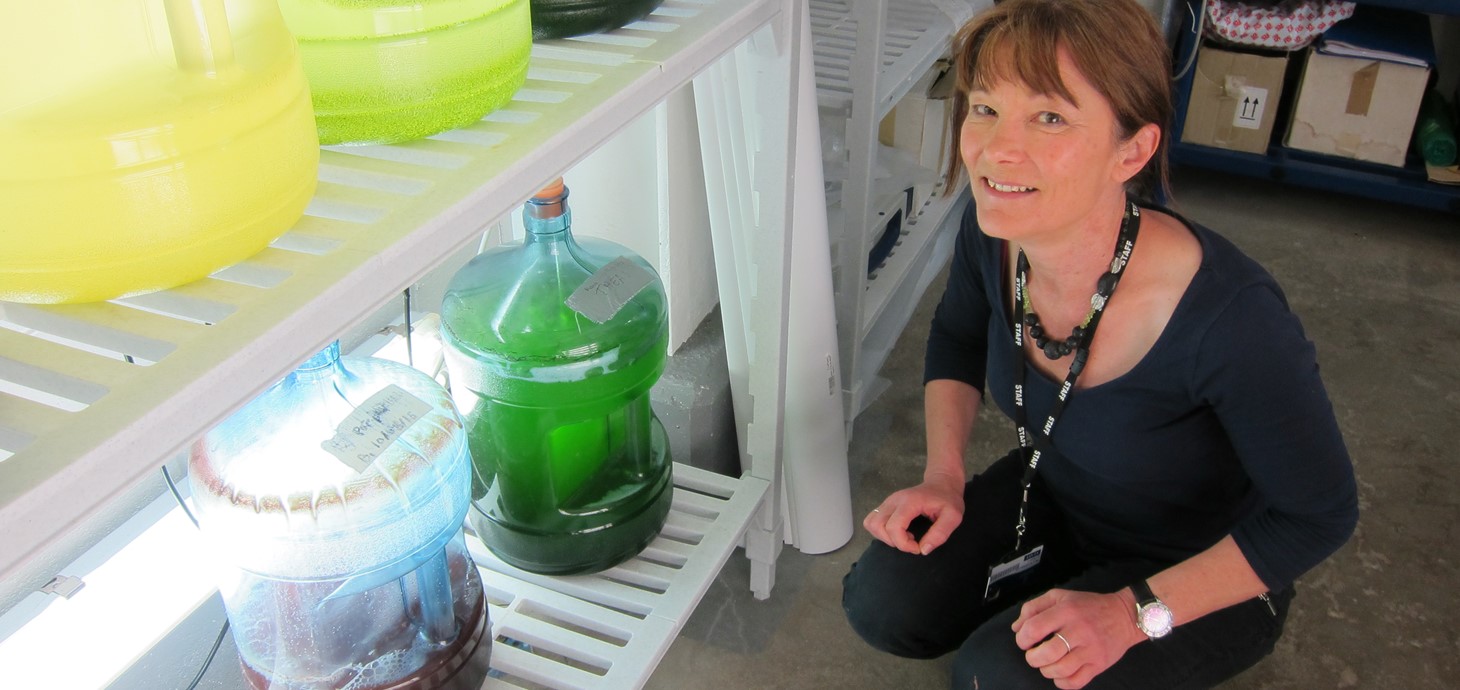 Professor Carole Llewellyn who is leading a Swansea University project exploring how to use algae to create the next generation of sunscreens.