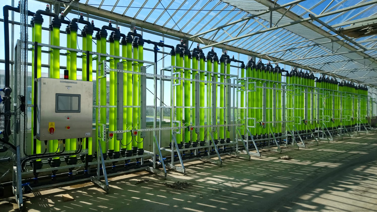 New study shows how microalgae could be crucial to circular economy 