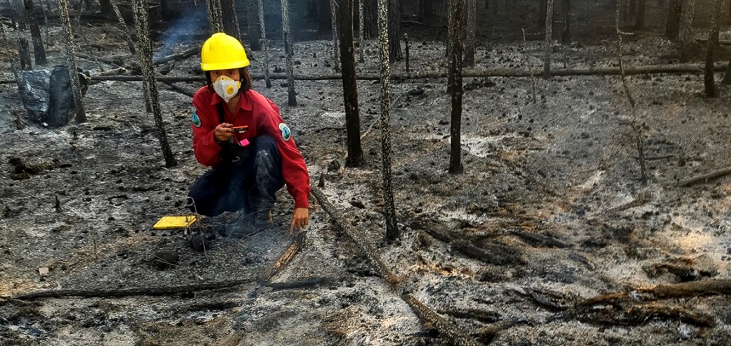Dr Cristina Santin taking charcoal samples after fire in boreal Canada. In samples from ten different fires, the researchers detected EPFR in concentrations that exceeded those typically found in soils by as much as ten to a thousand times. (Picture: Stefan Doerr)