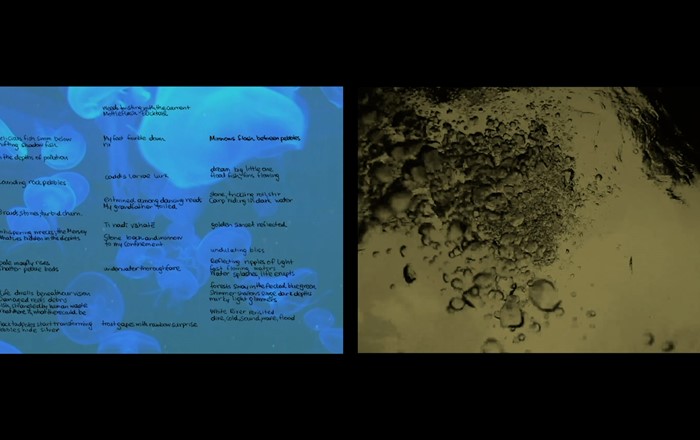 A screenshot from the Underwater Words I & II video trailer.