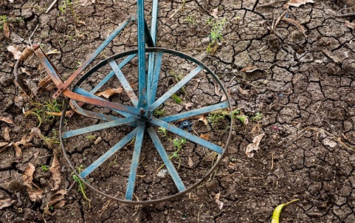 Metal wheel lying on piece of ground.