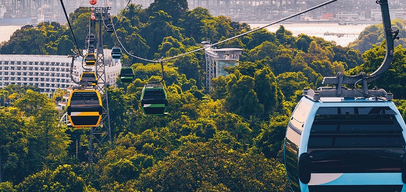 Cable cars moving above trees with a city buildings in the background
