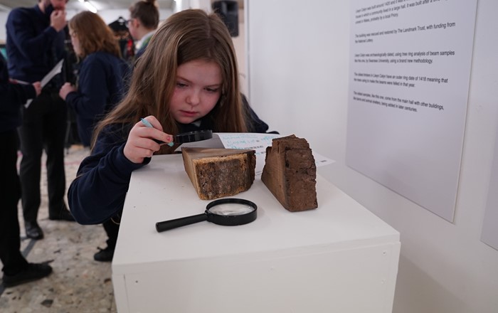 Schoolgirl using magnifying glass to study a cross section of oak taken from the most important houses in Wales, Llwyn Celyn, a house that has been lived in since the Medieval times.