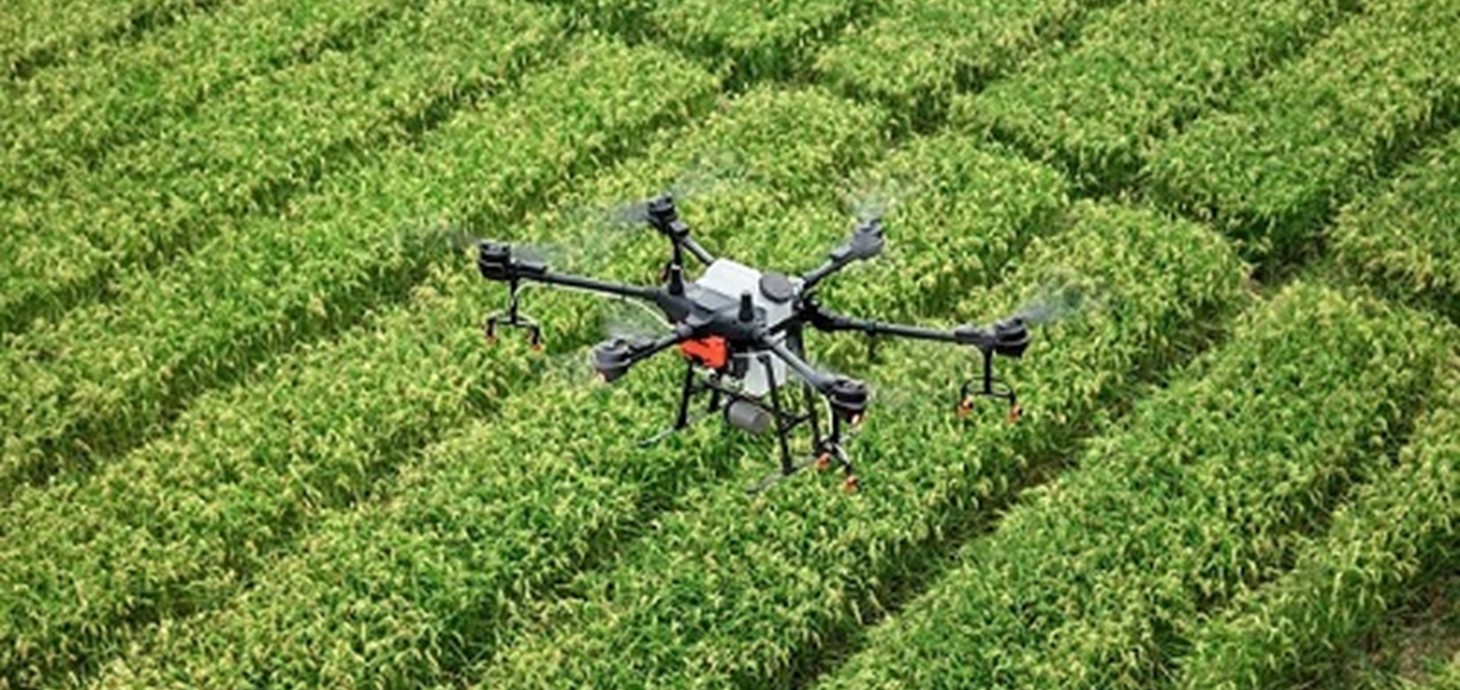 A drone flies over a crop field; the way in which technology has transformed the field of pest control is one of the themes of the Swansea conference (12-14 Sept)
