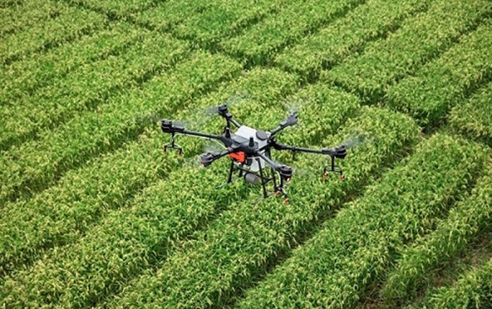 A drone flies over a crop field; the way in which technology has transformed pest control is one of the themes of the Swansea conference (12-14 Sept)