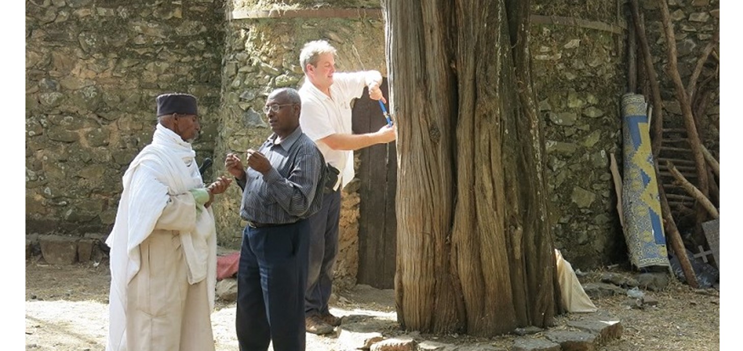 One of the joint Swansea-Africa climate projects: studying tree cores for evidence of past climate in the grounds of an Ethiopian Orthodox church in the Gondar region of Ethiopia. Led by Dr Iain Robertson and Dr Zewdu Eshetu 