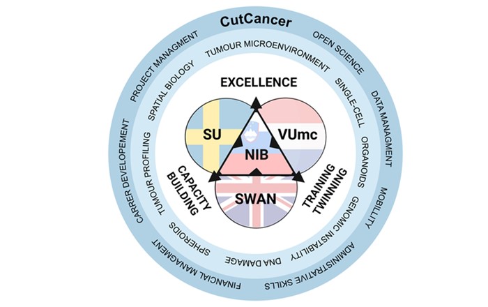 Infographic illustrating the CutCancer project with the NIB at the centre with its three partners around it working to achieve three main principles of excellence, capacity building and training twinning.