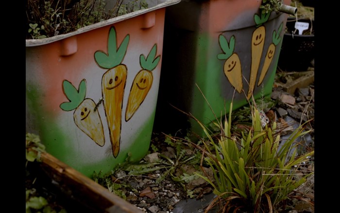 Two brightly coloured planters with cartoon carrots painted on them. 