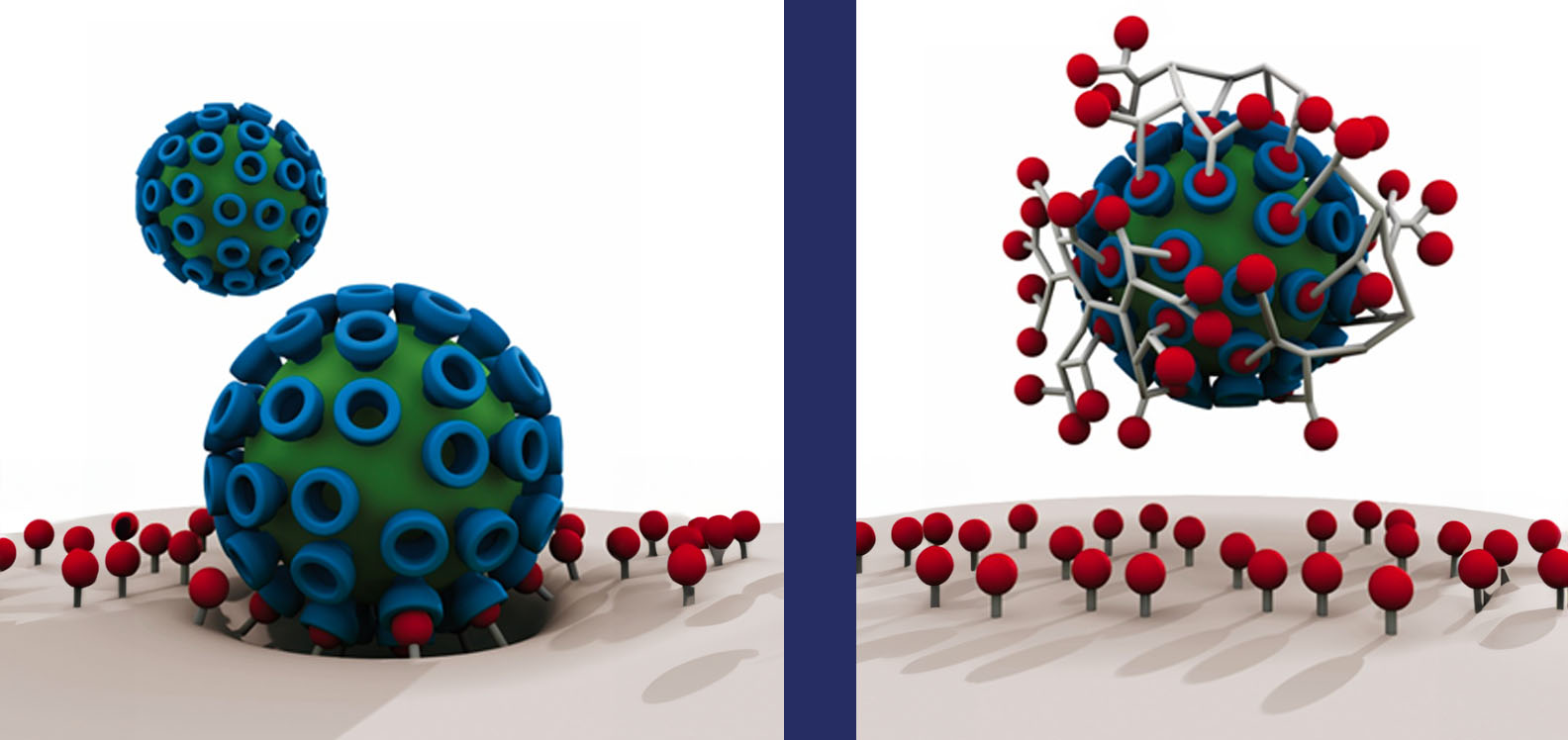 Left: Virus sticks to cell surface using multiple receptors. Right: Macromolecule mimics cell surface receptors, completely blocking virus. 