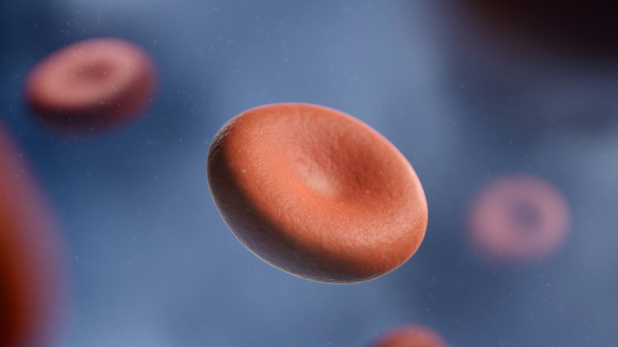 An Illustration of red blood cells and a platelet in the bloodstream. Credit: digitale.de on Unsplash.