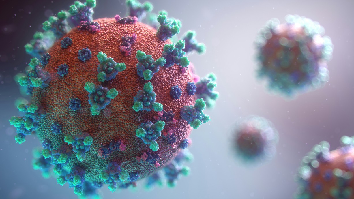A visualisation of the virus which causes Covid-19. Credit: Fusion Medical Animation - Unsplash.