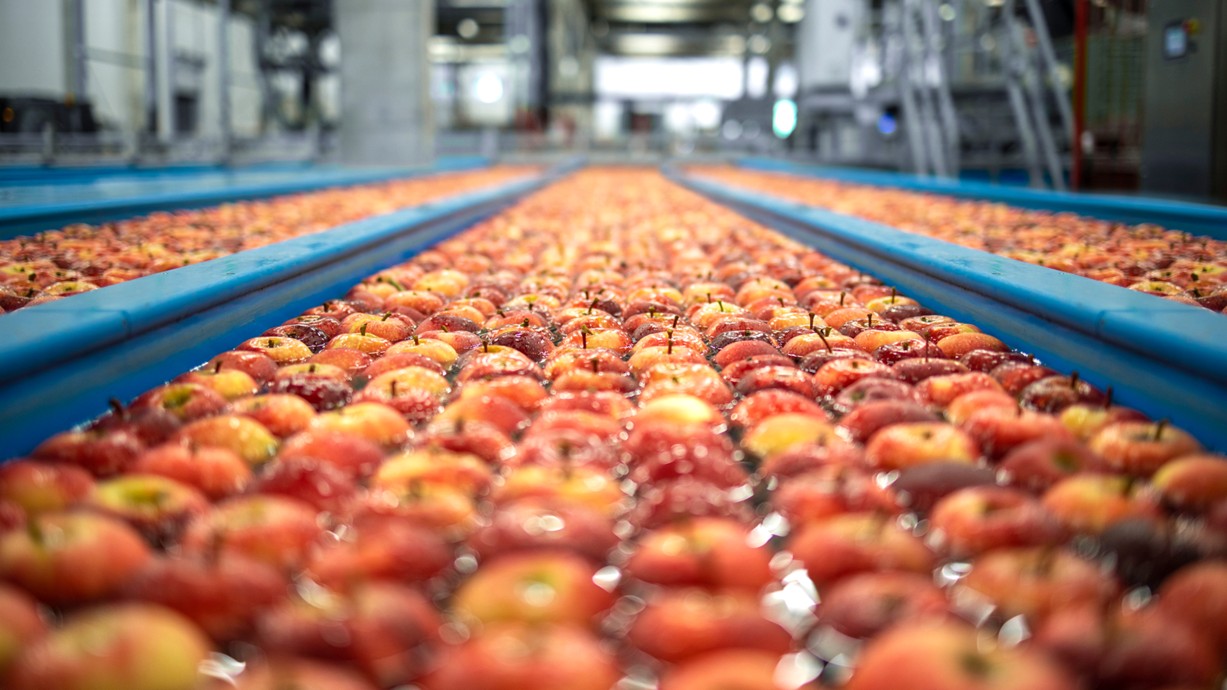 A close-up of apples being washed in production. Credit: Aleksandar Malivuk | Shutterstock.