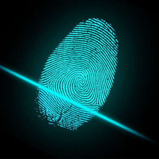 Graphic for a fingerprint