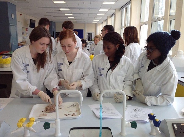 Year 12 students work in a university lab.