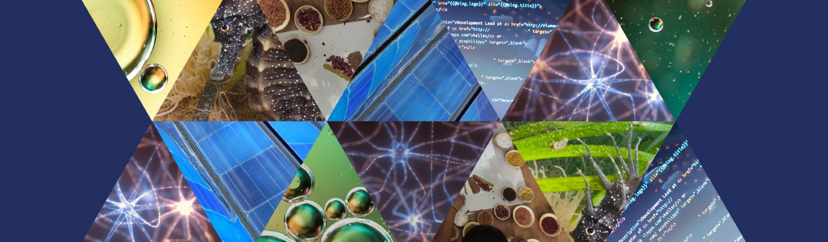 Triangles containing imagery of: oil on water, coding on screen, solar cells, people sitting with coloured spices, and brain neurons firing