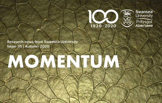 Momentum - Autumn 2020