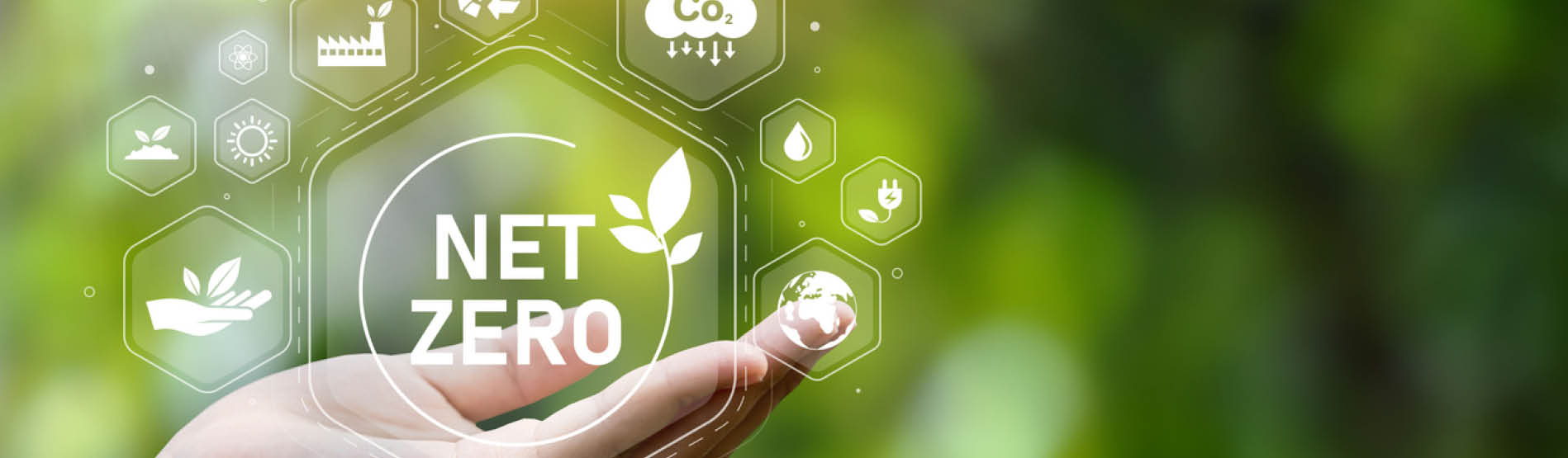 NET ZERO words and some eco icons floating above the hand on a green background
