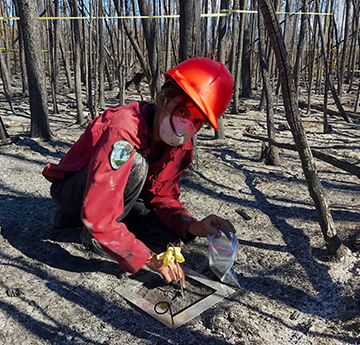 Researcher in a recent wildfire area