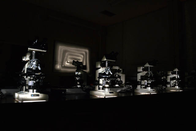 Light Microscopes in a row