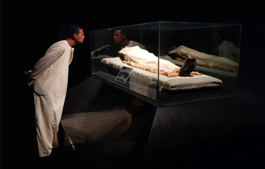 Reflecting on the Past: The Display of Egyptian Mummies