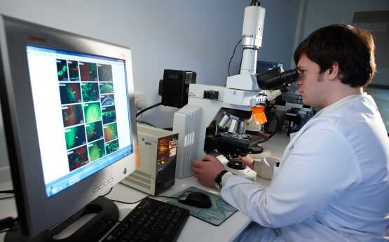 image of medical student looking through microscope
