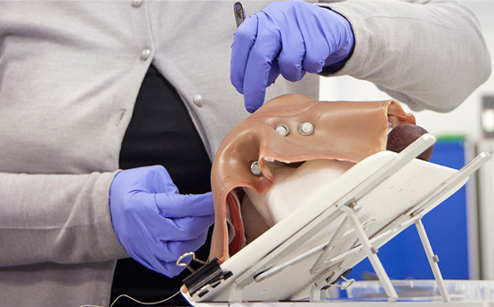 A person wearing gloves with a scalpel practicing on a hyper-realistic training model
