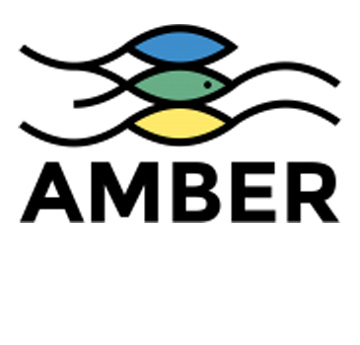 AMBER logo