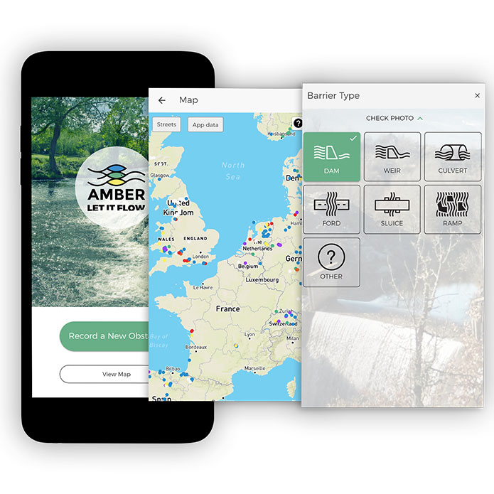 The Barrier Tracker app for recording barriers and filling data gaps developed as part of the AMBER citizen science programme in Europe 