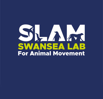 Swansea Lab for Animal Movement
