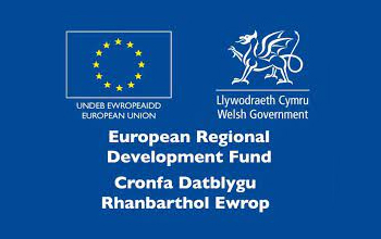 Welsh Government European Development Fund 