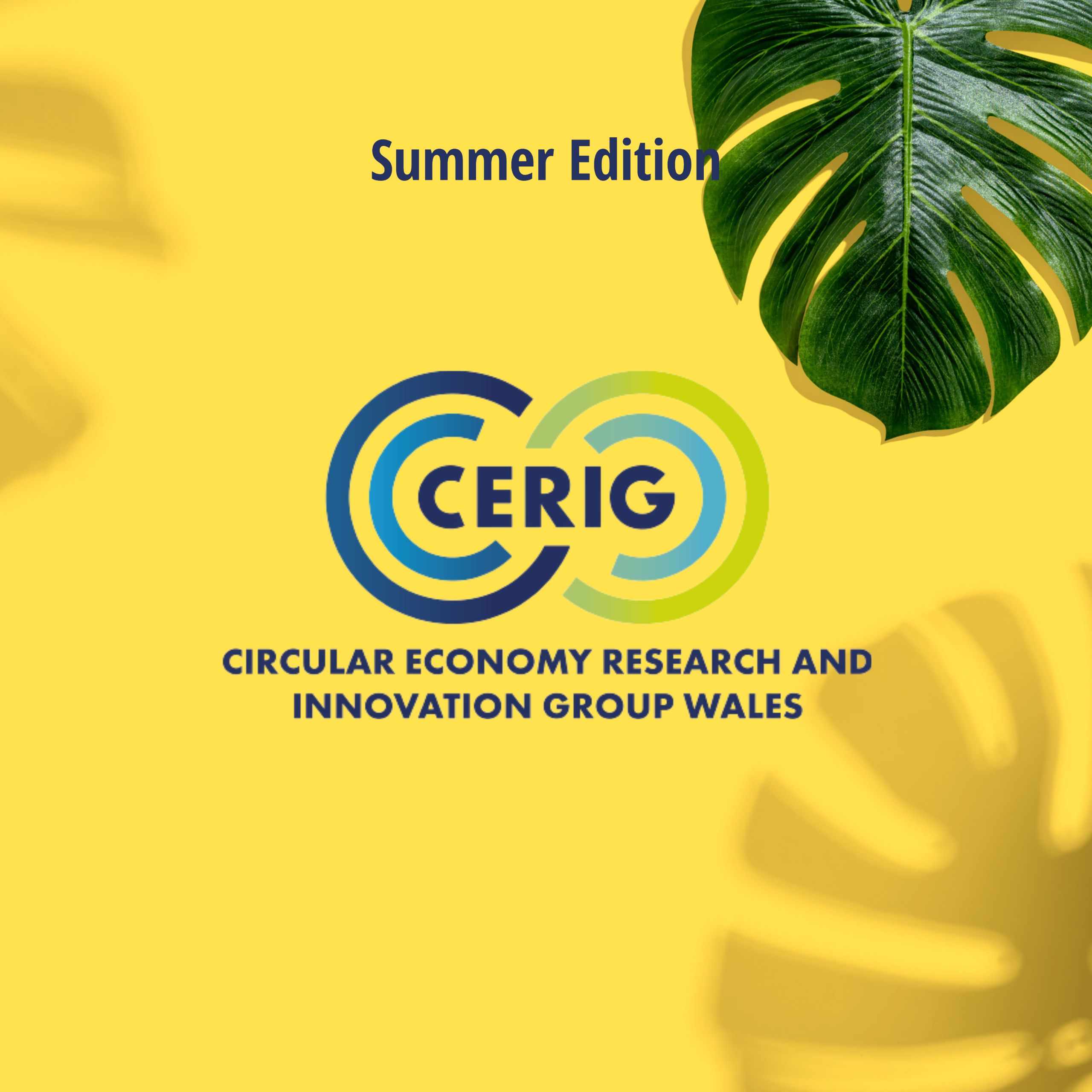 cerig logo image 