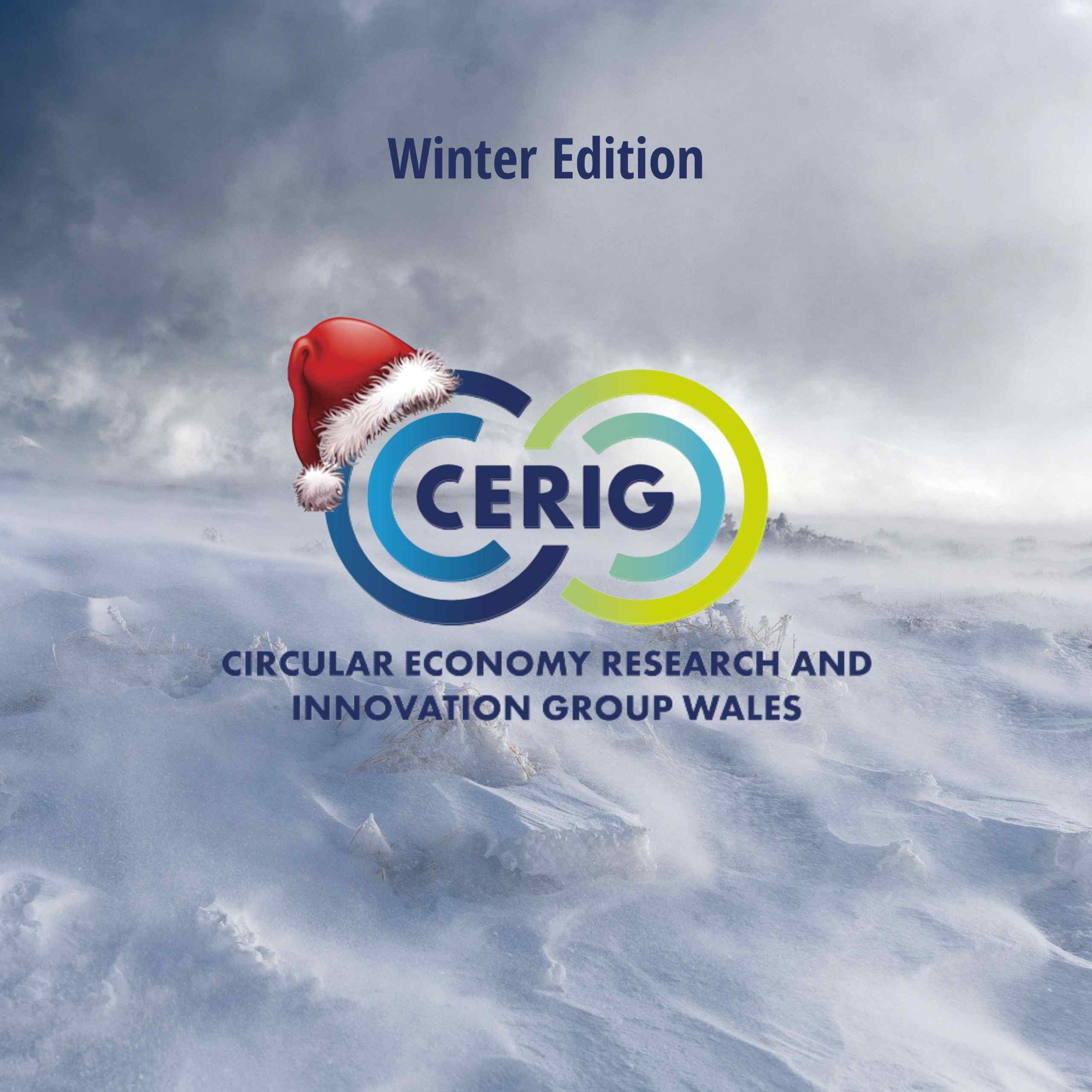 cerig logo image