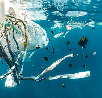 Unsplash image: Naja Bertolt Jensen - fish swimming around plastic in the ocean
