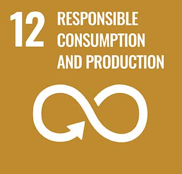 UN Development Goal - Responsible Consumption and Production icon