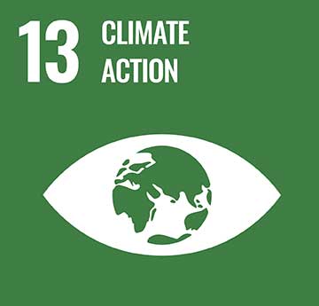 UN Development Goal - Climate Action icon