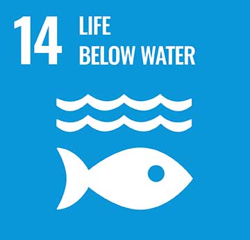 UN Development Goal - Life Below Water icon