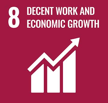 UN Development Goal - Decent Work and Economic Growth icon